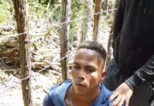 Criadores de chivos denuncian impunidad en Montecristi tras captura de cuatreros